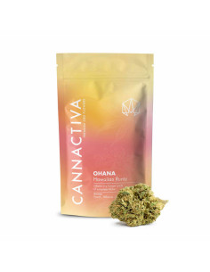 Flor de CBD Premium OHANA-Hawaiian Runtz 2g Cannactiva